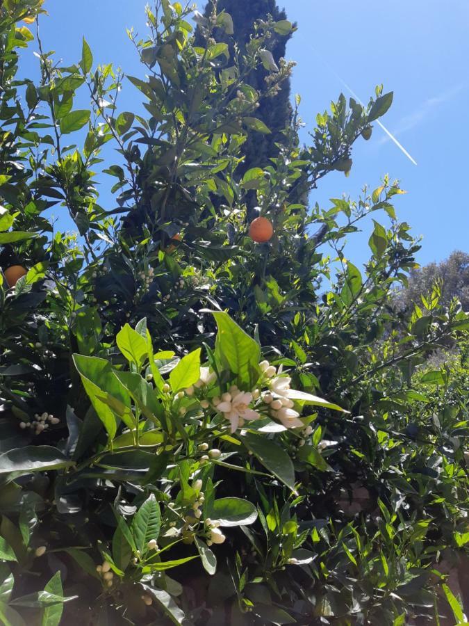Crapa Licca Ventimiglia di Sicilia Exterior foto